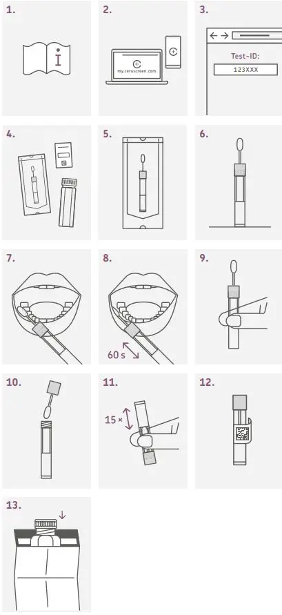 cerascreen-99090824-DNA-Metabolism-Test-fig-1