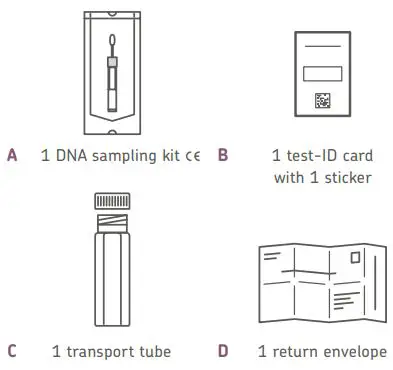 cerascreen-99090824-DNA-Metabolism-Test-fig-2