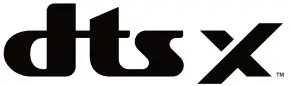 Dtsx logo