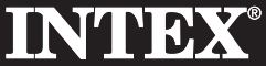 INTEX.JPG