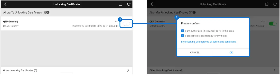 dji-Pilot-2-No-Flight-Zones-fig- (4)