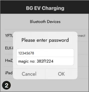 BG SYNC EV EVT77GG - Network Setup 2