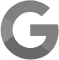 Google app Icon