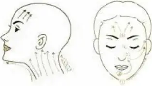 REJUVA FRESH SR-AF1317A 8 in 1 Hydra Facial Machine - c30