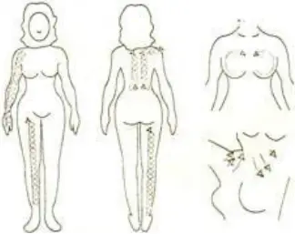 REJUVA FRESH SR-AF1317A 8 in 1 Hydra Facial Machine - c31