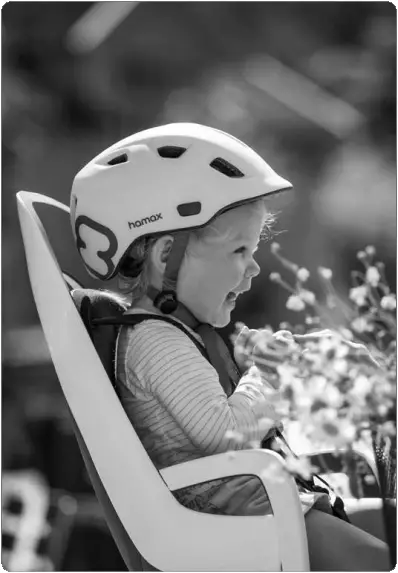 hamax Caress Child Bike Seat - 1a