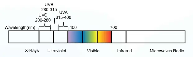 KENT Grand Plus B RO UV UF TDS Control UV in Tank - fig6