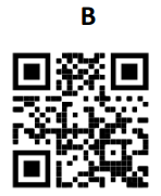 BRT Systems HVT Junction Connects LDSBus Devices - qr1