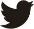 Twitter icon 5
