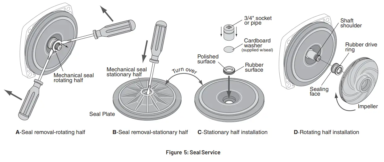 PENTAIR Myers 60 Cycle CTJ Series Centrifugal Pump - Fig 5