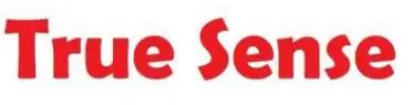 true sense - logo