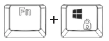 savio TEMPEST RX Mechanical Keyboard 6