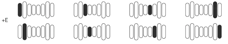 HABYS-Standard-8-Pneumatic-Compression-Recovery-System-with-Heating-and-Cold-Therapy-fig-9