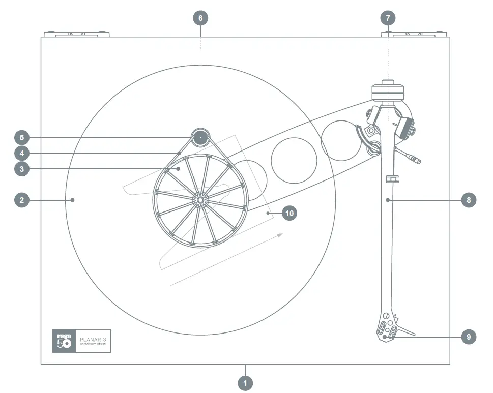 rega 50 Planar 3 Anniversary Edition Turntable 5