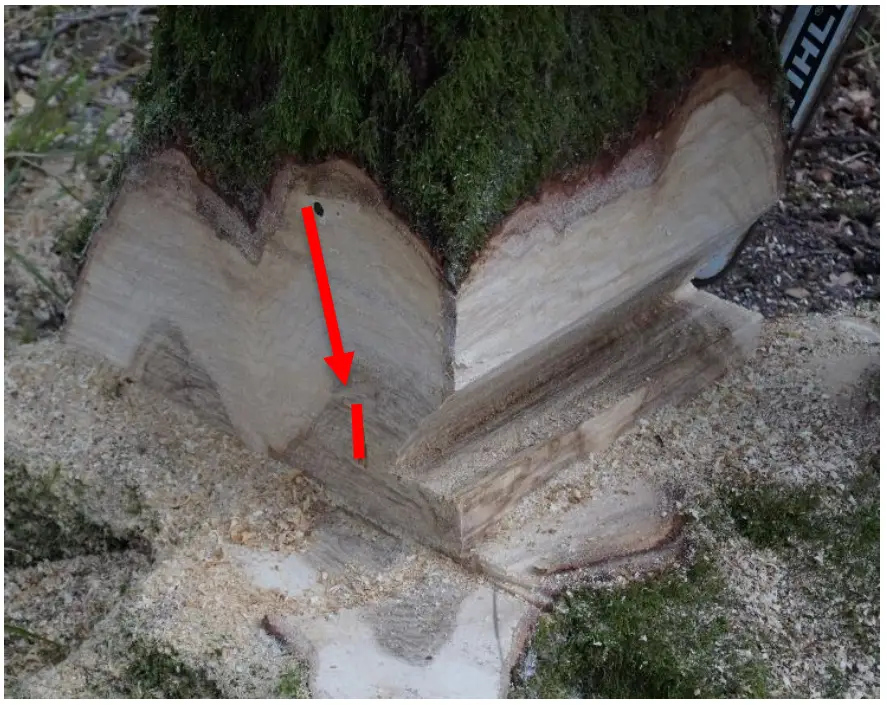 Funk Titan 80 EDER Felling Wedge - chalk line