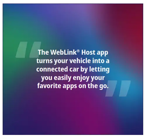 Abalta WebLink 3.0 Brand Identity Guidelines - fig4