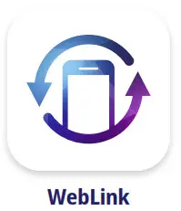 Abalta WebLink 3.0 Brand Identity Guidelines - fig5