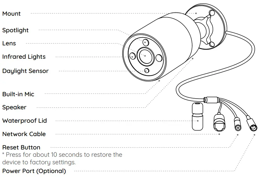 Introduce The Cameras