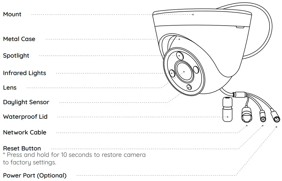 Introduce The Cameras