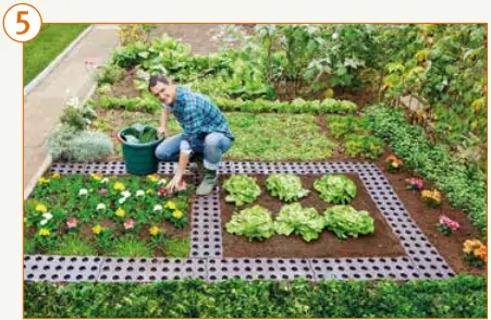 GARANTIA Maxi Garden Boards Laying A5