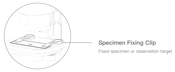 BeaverLAB DDL-MX Intelligent Microscope - Use Of Specimen Holder