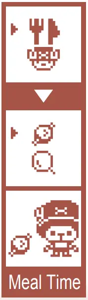 How to take care of Chopper