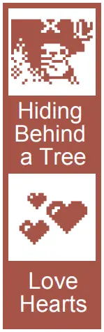 How to take care of Chopper