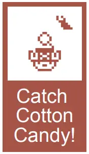 How to take care of Chopper