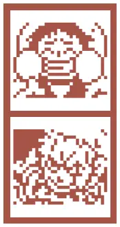 How to take care of Chopper