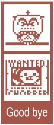 How to take care of Chopper