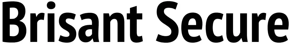 Brisant Secure logo