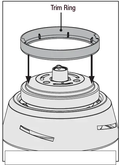 Hunter-Fan-50282-Dempsey-Ceiling-Fan-13