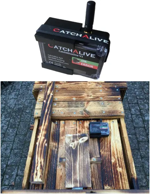 CATCHALIVE Live Animal Trap Large Box Trap