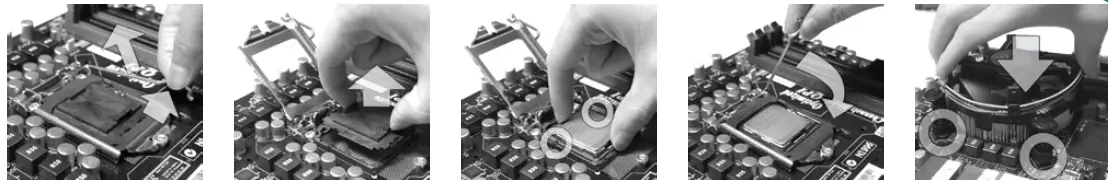 MSI-G41M-P33-Combo-Versatile-Motherboard-fig-1