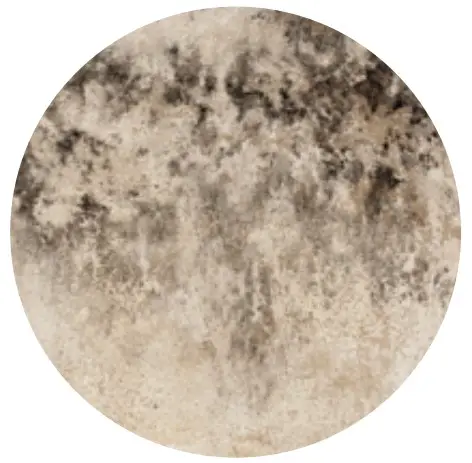 What is it and why is it there