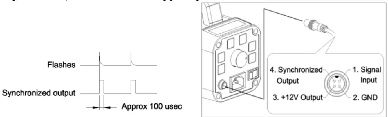 Signal output" socket