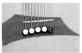 Warwick-Alien-Acoustic-Bass-FIG-5