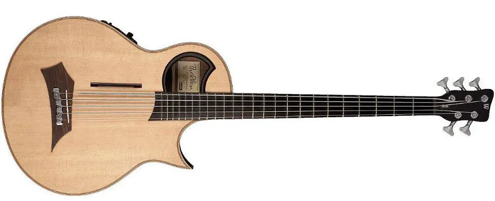 Warwick-Alien-Acoustic-Bass-PRODUCT
