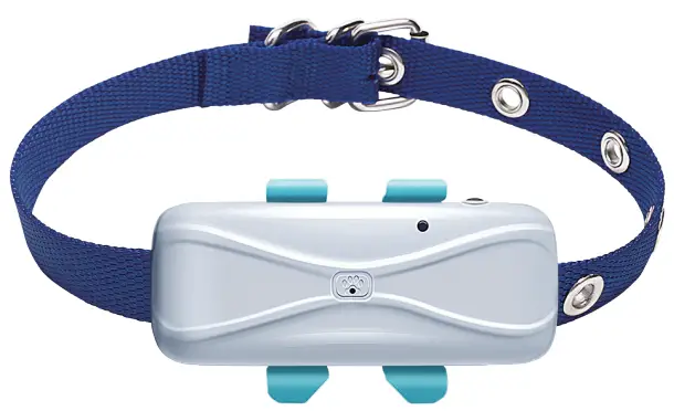 MiCODUS 4G MP80G Tracker-PRODUCT