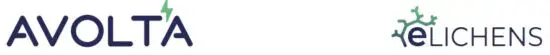 eLICHENS Avolta.JPG