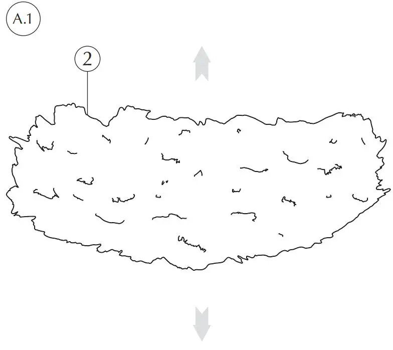 UMAGE-Eos-XL-Pendant-M-Rosette-White-Black- (6)