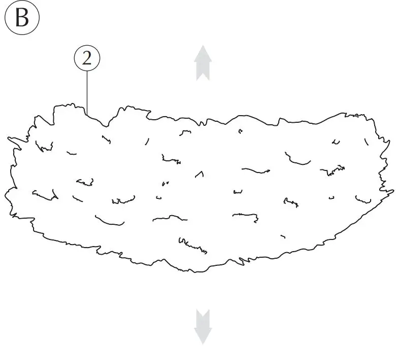 UMAGE-Eos-XL-Pendant-M-Rosette-White-Black- (8)