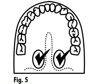VICKS-V912US-SpeedRead-Digital-Thermometer (6)