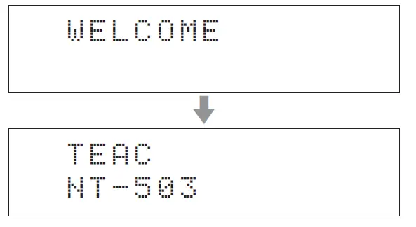 TEAC NT-503 Preamp with Bluetooth 13