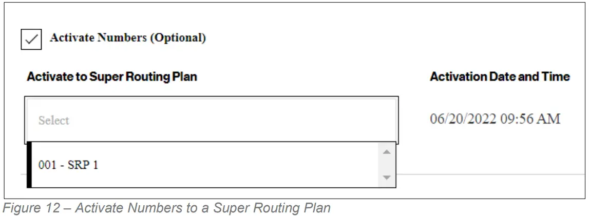 verizon Network Manager - fig 12