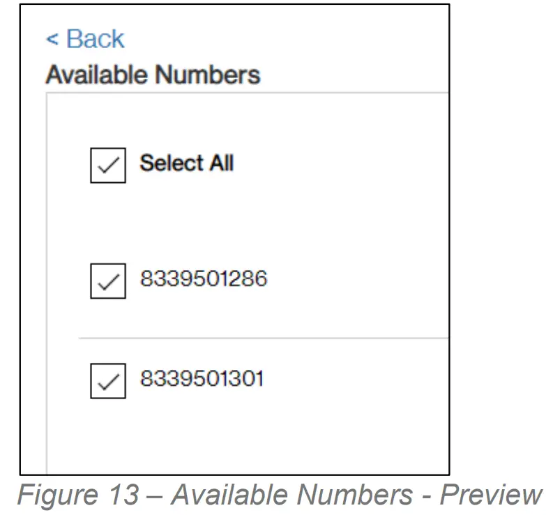 verizon Network Manager - fig 13