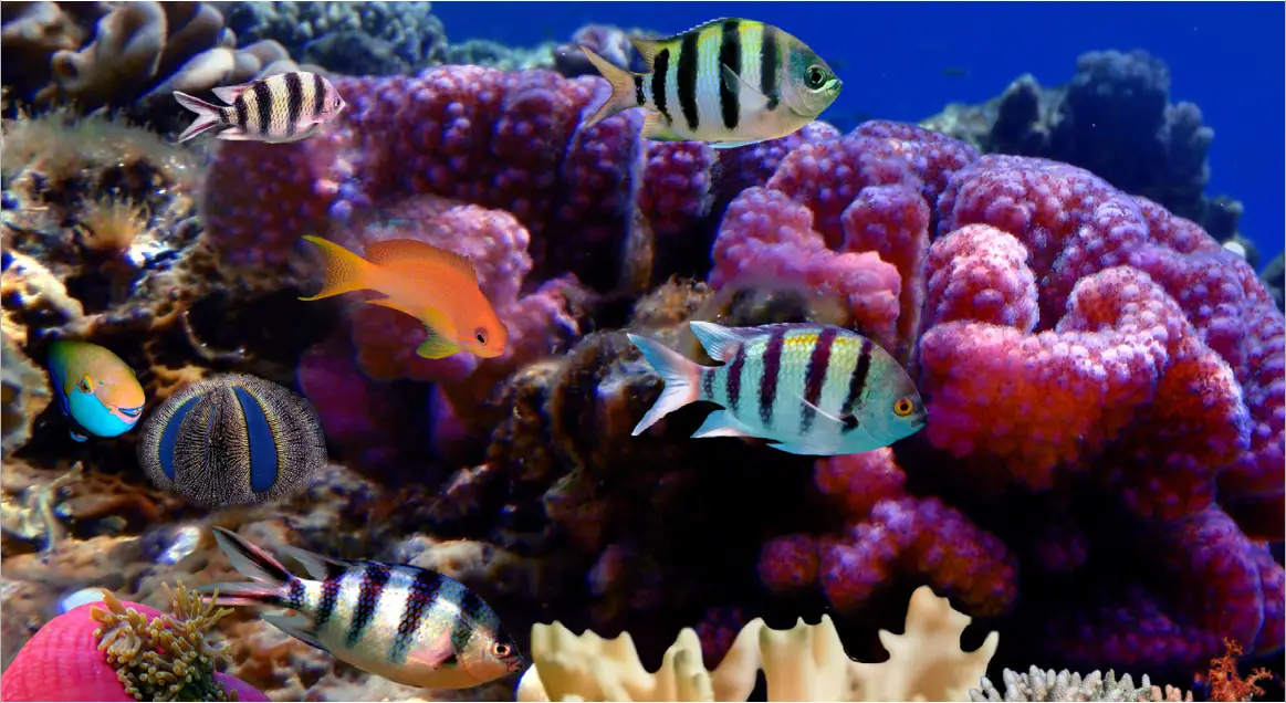 OZOTECH Poseidon 200 Ozone Generator