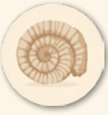 HELVETIQ Toko Island board - fig 12