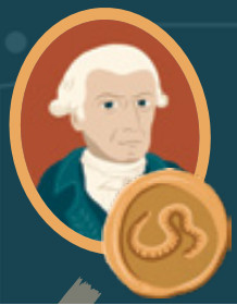 HELVETIQ Toko Island board - fig 14