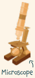 HELVETIQ Toko Island board - fig 20